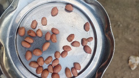 G37 માંડવી વેચવાની છે