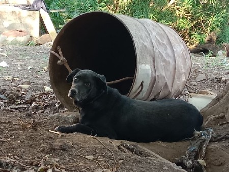 થંબનેલ 3