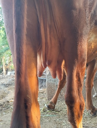 थंबनेल 2