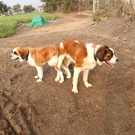 थंबनेल 2