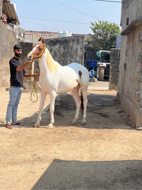 थंबनेल 2