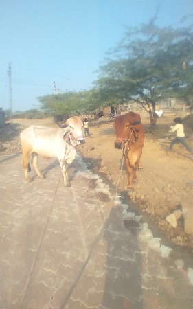 थंबनेल 2