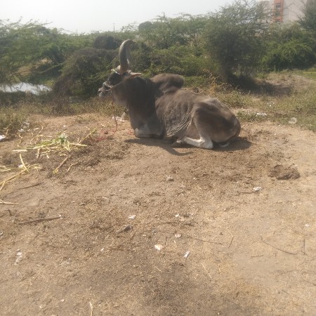 थंबनेल 2