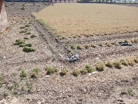 थंबनेल 2