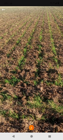 10 વીઘા જમીન વેસવાની સે