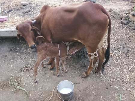 थंबनेल 6