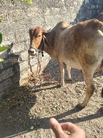 थंबनेल 2