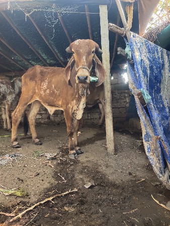 थंबनेल 3