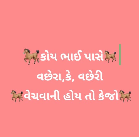 વછેરા કે વછેરી વેચાવ હેતોકેજો