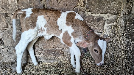 થંબનેલ 3