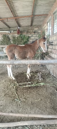 થંબનેલ 3