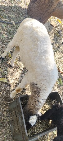 થંબનેલ 3