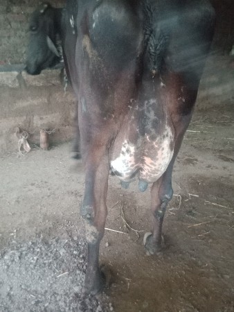 थंबनेल 2