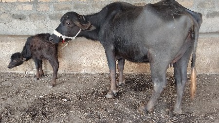 थंबनेल 3