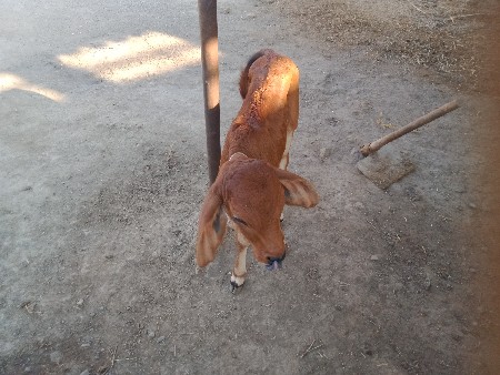 થંબનેલ 3