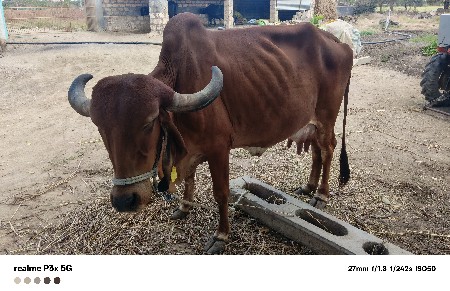 थंबनेल 2