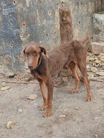 थंबनेल 3