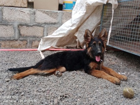 थंबनेल 2