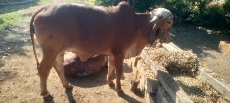 थंबनेल 3