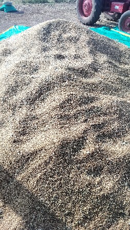 Ghav 496 ટુકડા