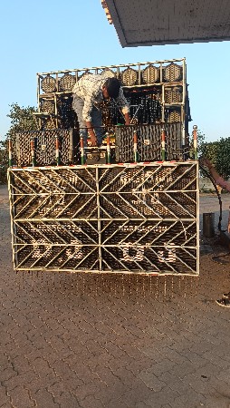 DJ full sistam vecvani se