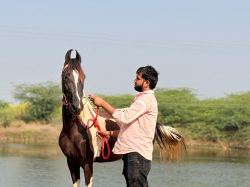 થંબનેલ 3