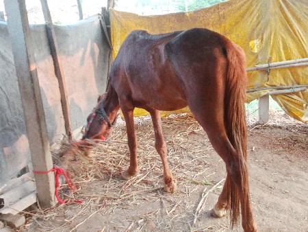 थंबनेल 2