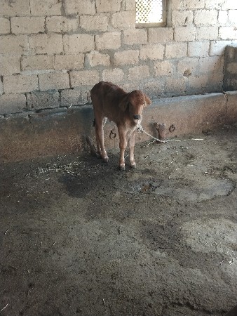 थंबनेल 3