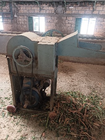 થંબનેલ 2