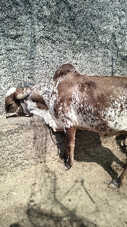 थंबनेल 3