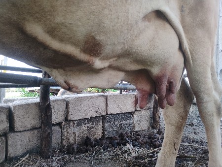 थंबनेल 3