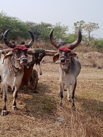 learn about all local