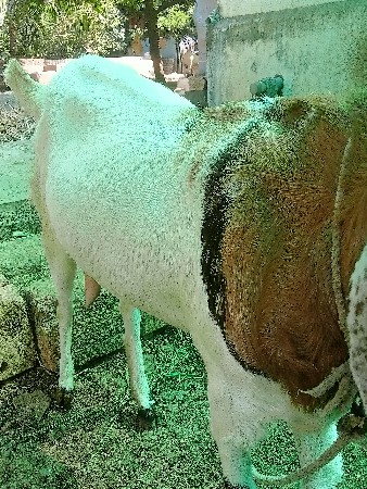 थंबनेल 2