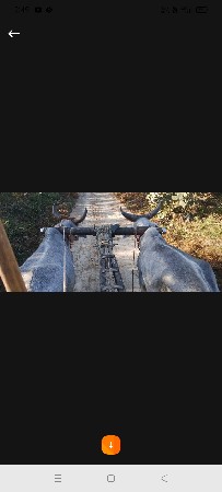 બળધ વેસવા ના છે