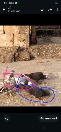 સાટાપાટા કરવાના છે