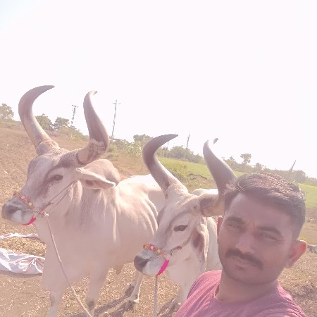 थंबनेल 2