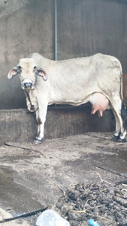 थंबनेल 6