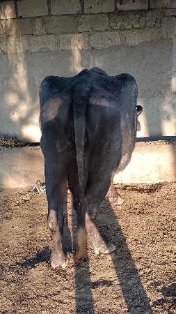 थंबनेल 2