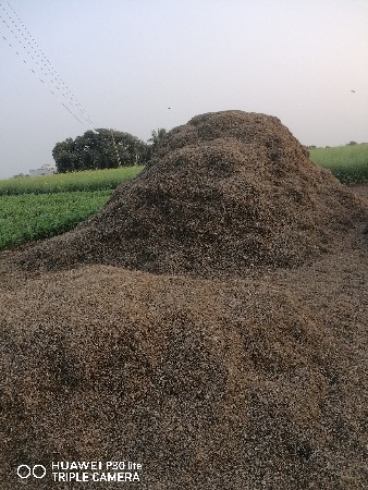 મગોટું 2 ઢગલા