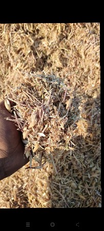 ચણા નુ ખારિયું