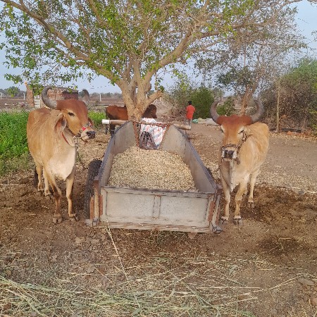 2 વાવણી વાવી