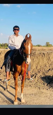 थंबनेल 2