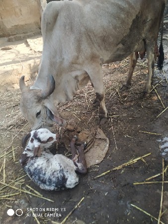 थंबनेल 2