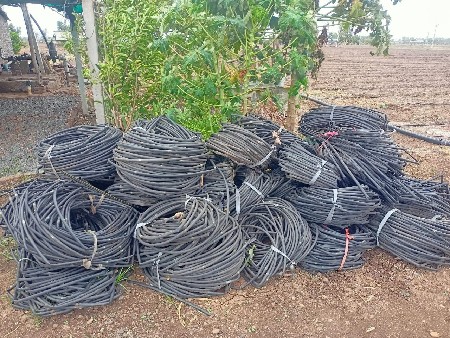 થંબનેલ 6