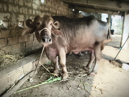 थंबनेल 2