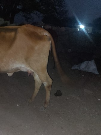 थंबनेल 2