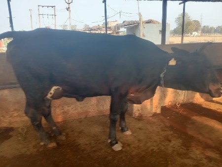 થંબનેલ 3