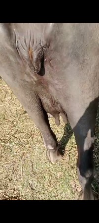 9723197610 ફોન કરો