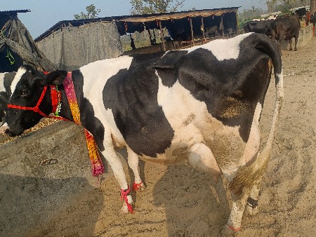 थंबनेल 2