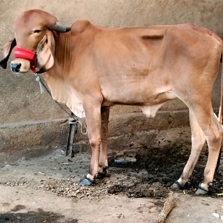 थंबनेल 2